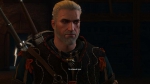 witcher3 2015-07-05 03-00-08-04