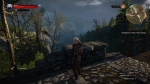 witcher3 2015-07-05 04-45-33-29