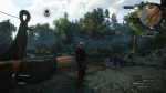 witcher3 2015-07-06 02-14-37-44