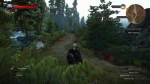 witcher3 2015-07-06 02-20-07-30