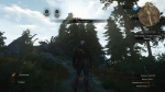 witcher3 2015-07-06 02-25-42-94