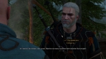 witcher3 2015-07-06 22-59-26-08