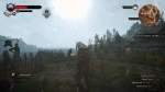 witcher3 2015-07-07 00-59-08-98