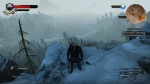 witcher3 2015-07-07 01-11-20-01