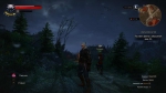 witcher3 2015-07-07 01-42-19-68