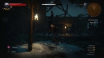 witcher3 2015-07-07 01-46-05-80