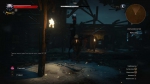 witcher3 2015-07-07 01-46-05-92