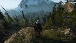 witcher3 2015-07-07 22-16-08-61