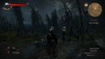 witcher3 2015-07-07 22-24-19-13