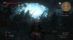 witcher3 2015-07-07 22-24-21-25