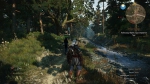 witcher3 2015-07-07 22-38-59-04