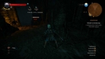 witcher3 2015-07-07 22-51-09-44