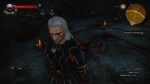 witcher3 2015-07-07 23-08-07-89