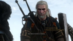 witcher3 2015-07-08 00-55-18-27