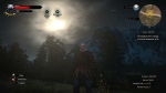 witcher3 2015-07-08 01-55-23-18