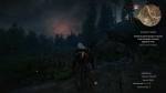 witcher3 2015-07-09 22-36-32-46