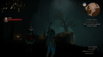 witcher3 2015-07-09 23-31-22-49