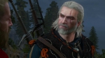 witcher3 2015-07-09 23-48-11-69