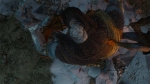 witcher3 2015-07-09 23-56-04-36