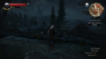 witcher3 2015-07-09 23-58-53-89