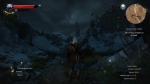 witcher3 2015-07-10 00-02-32-82