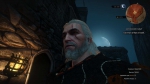 witcher3 2015-07-10 00-33-38-70