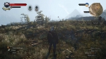 witcher3 2015-07-10 01-27-37-63
