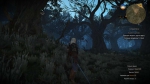witcher3 2015-07-10 01-52-03-87