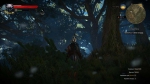 witcher3 2015-07-10 01-54-21-59