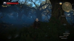 witcher3 2015-07-10 01-54-24-00