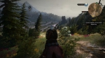 witcher3 2015-07-10 02-05-12-22