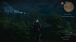 witcher3 2015-07-11 23-25-02-74