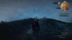 witcher3 2015-07-12 00-44-40-02