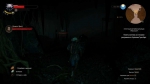 witcher3 2015-07-12 01-55-21-59