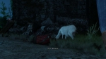 witcher3 2015-07-12 03-50-53-05