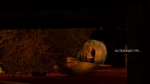 witcher3 2015-07-12 03-55-59-62