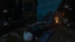 witcher3 2015-07-15 01-32-18-60