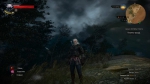 witcher3 2015-07-15 23-02-05-46
