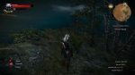 witcher3 2015-07-15 23-02-09-63