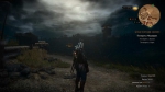 witcher3 2015-07-15 23-07-05-69