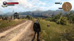 witcher3 2015-07-15 23-21-36-81
