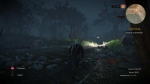 witcher3 2015-07-16 00-57-41-80