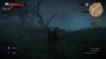 witcher3 2015-07-16 01-03-58-88