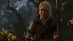 witcher3 2015-07-16 01-15-56-28