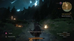 witcher3 2015-07-16 01-58-54-10