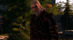 witcher3 2015-07-16 02-34-36-34