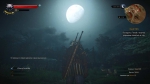 witcher3 2015-07-17 00-35-29-48