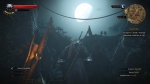 witcher3 2015-07-17 00-54-05-90