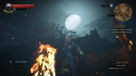 witcher3 2015-07-17 00-55-22-53