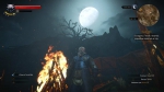 witcher3 2015-07-17 00-55-24-29
